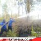 Damkar Humbahas Padamkan Kebakaran Lahan di Desa Purba Dolok, Masyarakat Diimbau Waspada.