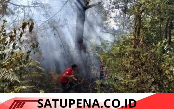 Petugas Damkar Padamkan Kebakaran Lahan di Desa Siponjot Kecamatan Lintongnihuta.