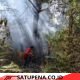 Petugas Damkar Padamkan Kebakaran Lahan di Desa Siponjot Kecamatan Lintongnihuta.