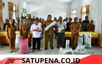 Hasil Kolaborasi Sumut Berkah, Bupati Samosir Serahkan Bantuan Bibit Pengembangan Cabai dan Bawang Merah .