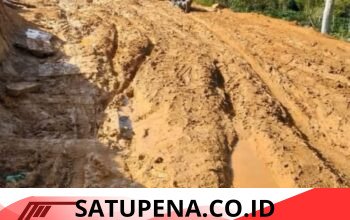 Swadaya Masyarakat dan Dukungan Pemda Wujudkan Jalan Rabat Beton di Mesidah