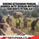 Babinsa Turun ke Sawah Bantu Panen Padi, Perkuat Kemanunggalan TNI-Rakyat