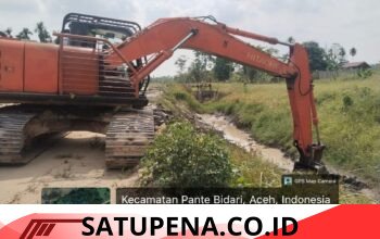 Warga Enam Desa di Pante Bidari Patungan Sewa Alat Berat, Irigasi Tertimbun Banjir Belum Tertangani