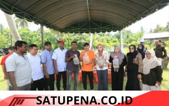 Wali Kota Salurkan 1,1 Juta Benur Udang Vaname untuk Pulihkan Tambak Warga Blang Mangat