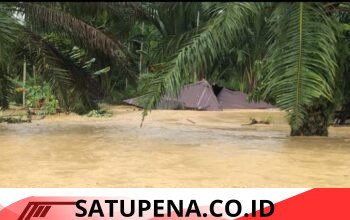 Lansia Korban Banjir Aceh Utara Terlantar, Janji Bantuan Rumah Tak Kunjung Terealisasi