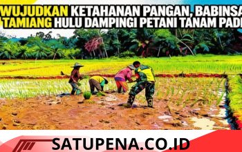 Babinsa Tamiang Hulu Turun ke Sawah, Dampingi Petani Tanam Padi Demi Ketahanan Pangan