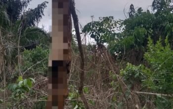 Diduga Korban Banjir Bandang, Jenazah Pria Ditemukan Setelah Empat Bulan dalam Kondisi Mengenaskan