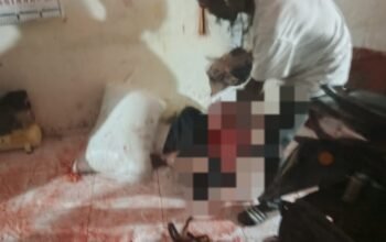 Penyerang Sadis Terobos Rumah Warga di Seunuddon, Ibu Ditusuk Berkali-kali, Anak Terluka Saat Melawan