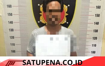 Pengedar Sabu dan 2 Terduga Pelaku Narkoba Berhasil Diamankan Satnarkoba Polres Toba .