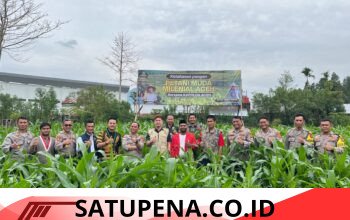 Kapolres Aceh Tengah Tinjau Perkembangan Tanaman Jagung Program Ketahanan Pangan