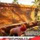 Satgas TMMD 128 Kebutan Pembangunan MCK di Suka Makmur, Wujud Nyata Kepedulian Kesehatan Masyarakat