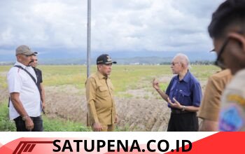 Bupati Pidie Jaya Sambut Kunker Wali Nanggroe, Perkuat Sinergi Pembangunan Berbasis Pertanian