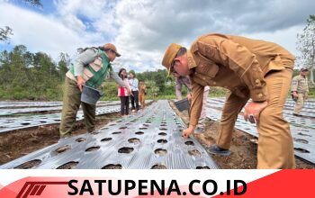 ‎Dukungan Langsung Bupati JTP: Traktor dan Irigasi Disetujui untuk Kelompok Tani Tulason Tani Sukses.