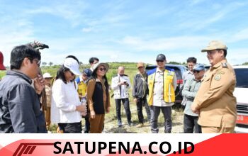 Gandeng Pemerintah Pusat, Bupati Vandiko  Siapkan Samosir Jadi Sentra Bawang Putih Nasional.