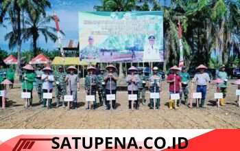 Bupati Aceh Tamiang Hadiri Penanaman Jagung Perdana, Perkuat Ketahanan Pangan Nasional