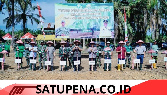 Bupati Aceh Tamiang Hadiri Penanaman Jagung Perdana, Perkuat Ketahanan Pangan Nasional
