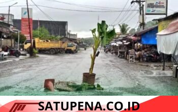 Warga Tanam Pohon Pisang di Jalan Nasional, Protes Lubang Menganga di Aceh Selatan