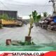 Warga Tanam Pohon Pisang di Jalan Nasional, Protes Lubang Menganga di Aceh Selatan