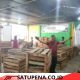 Hari Ini Rumah Tani Nusantara Aceh Tengah Kirim 20 Ton Alpukat ke Surabaya