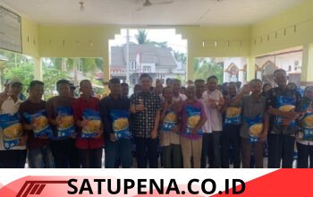 Pemko Langsa Salurkan 24,425 Ton Benih Padi untuk 2.200 Petani Terdampak Banjir