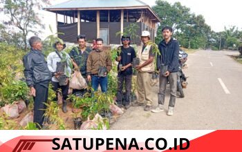 LSM Aceh Hijau Lestari Salurkan Ratusan Bibit ke Petani di Pintu Rime Gayo