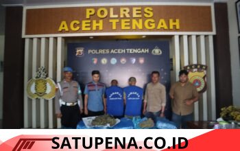 Gagalkan Peredaran 62 Kilogram Ganja, Satresnarkoba Polres Aceh Tengah Ringkus Dua Pelaku