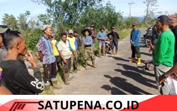 Konflik Gajah–Manusia Memanas di Bener Meriah, 18 Gajah Liar Digiring dari Permukiman Warga