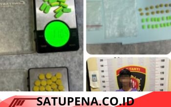 Kurir Ekstasi Jaringan Medan- Balige Ditangkap di Kamar Kos, Satres Narkoba Polres Toba Sita 40 Butir Pil .