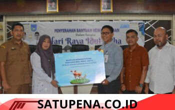 Pemko Langsa Salurkan 62 Hewan Kurban Sambut Idul Adha 1447 H