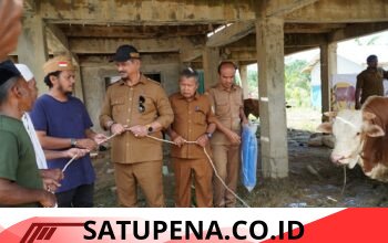 Bupati Armia Salurkan Sapi Kurban Presiden untuk Korban Banjir Aceh Tamiang