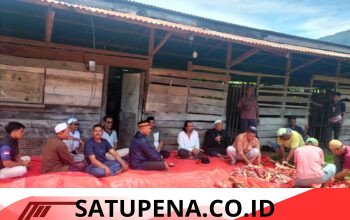 Ketua DPW NasDem Aceh Salurkan Hewan Kurban di Aceh Tengah, Wujud Kepedulian di Tengah Keterbatasan