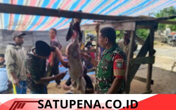 Babinsa Koramil 07/Atu Lintang Komsos Bersama Warga Saat Pemotongan Hewan Kurban