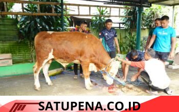 Idul Adha 1447 H di Divif 2 Kostrad Berlangsung Khidmat, Pangdivif Turut Berkurban