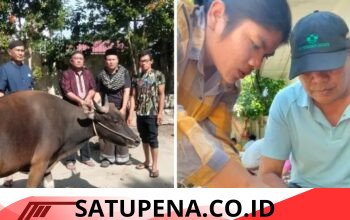 PEMERIKSAAN HEWAN QURBAN DI MASJID AL MUNAWAR TAMBUNAN.