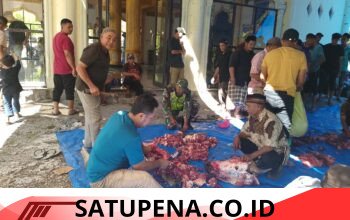 Solidaritas Menguat, Warga Wono Soboh Sembelih 5 Sapi dan 10 Kambing pada Iduladha 1447 H