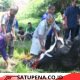 Sapi Kurban Presiden Disalurkan ke Langsa, Perkuat Kepedulian Sosial di Idul Adha