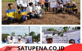 PT Pelni Cabang Sampit Tanam Puluhan Bibit Pohon Buah di Pelabuhan Bagendang