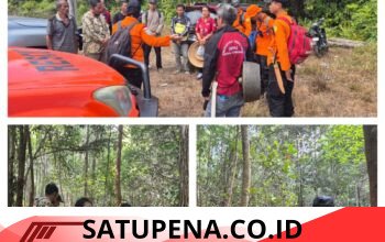 Tim SAR Gabungan Berhasil Evakuasi Dua Pemuda Hilang di Hutan Kapuas