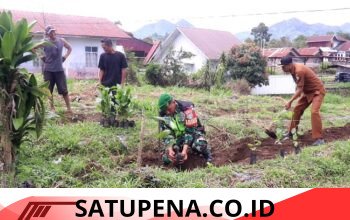 Babinsa Koramil 09/Ketol Bersama Warga Laksanakan Penanaman Pohon Kopi di Blang Mancung Bawah