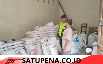 Stok Gabah di Suka Mulia Masih Aman, Babinsa Pastikan Kebutuhan Pangan Terpenuhi