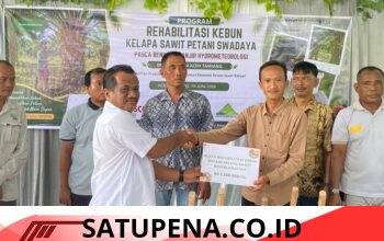 Dukungan Stimulan Kelapa Sawit: Aceh Tamiang Perkuat Ekonomi Petani Pascabencana