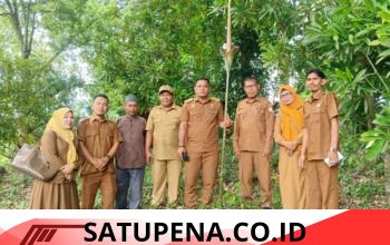Bunga Langka Ditemukan didekat Makam Meurah Malik Ahmad
