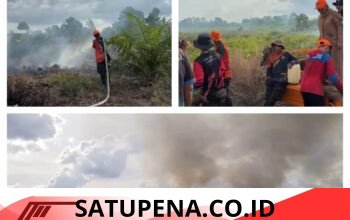 Cuaca Panas Ekstrim, 4 Hektar Lahan Gambut, Terbakar