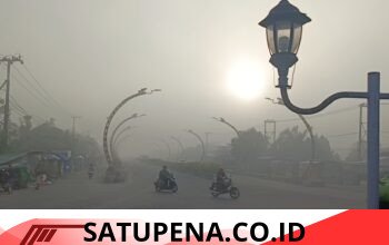 Fenomena Kabut Embun Tebal Selimuti Kota Sampit