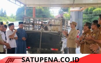 Bupati Tapanuli Utara, Dr. Jonius Taripar Parsaoran Hutabarat, S.Si., M.Si., menyerahkan 1 ekor sapi kurban untuk perayan Idul Adha 1447 Hijriah.
