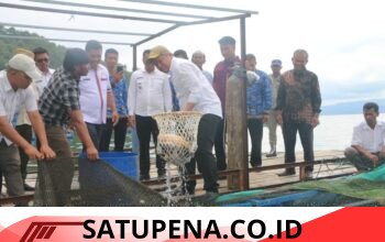 Panen Raya BUMdes  Ikan Nila keramba Jaring Apung Dusun lumban Tonga Tonga