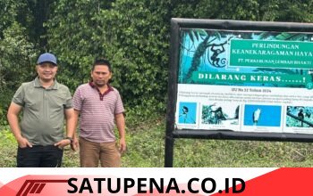 Warman Soroti Dugaan Pelanggaran Sempadan Sungai oleh PT PLB, Minta BPK Hitung Potensi Kerugian Negara