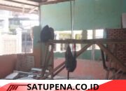 Anggaran Capai Rp1,8 Miliar” Revitalisasi SD 1 Bukit Tempurung Diduga Langgar Spesifikasi Teknis