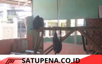 Anggaran Capai Rp1,8 Miliar” Revitalisasi SD 1 Bukit Tempurung Diduga Langgar Spesifikasi Teknis