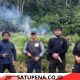 Denintel Kodam Iskandar Muda Bongkar Ladang Ganja 50 Hektare di Nagan Raya, Ratusan Prajurit Dikerahkan untuk Pemusnahan